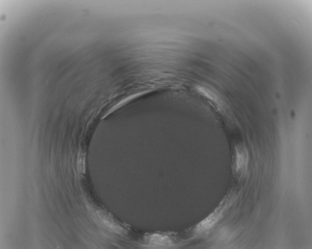 X0000061760180200512091710