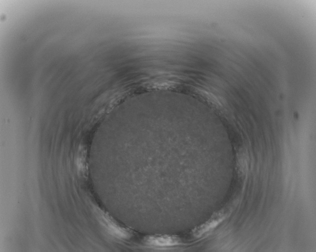 X0000061760181200512091710