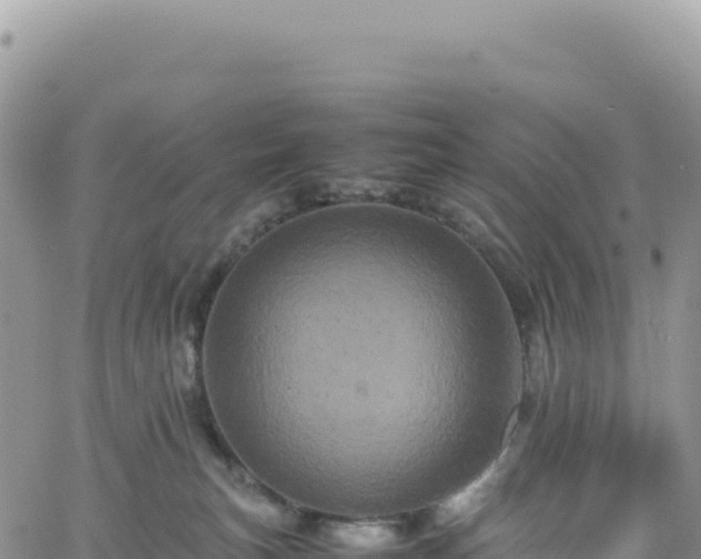 X0000061760183200512091710