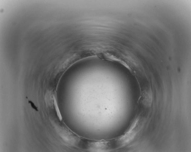 X0000061760184200512091710