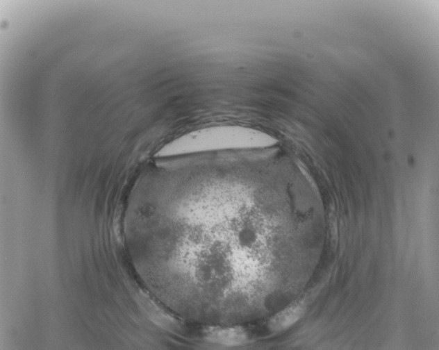 X0000061760185200512091710