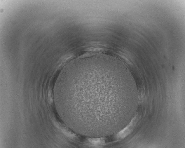 X0000061760187200512091710