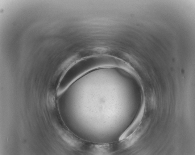 X0000061760188200512091710