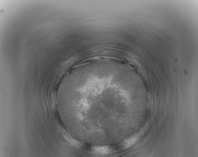 X0000061760189200512091710