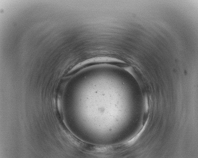 X0000061760190200512091710