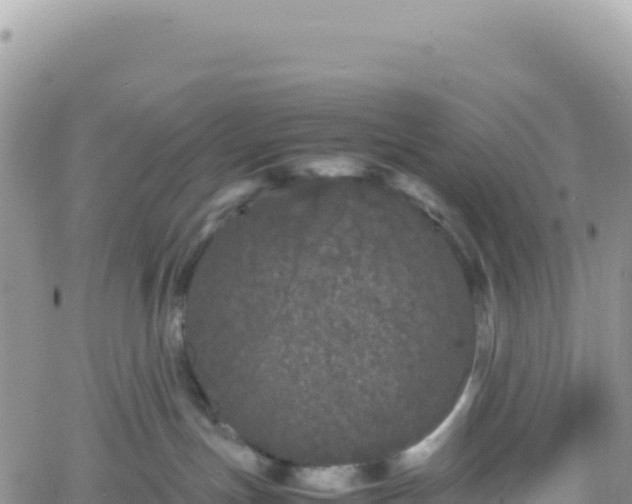 X0000061760191200512091710