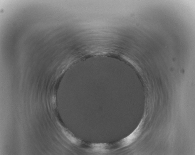 X0000061760192200512091710