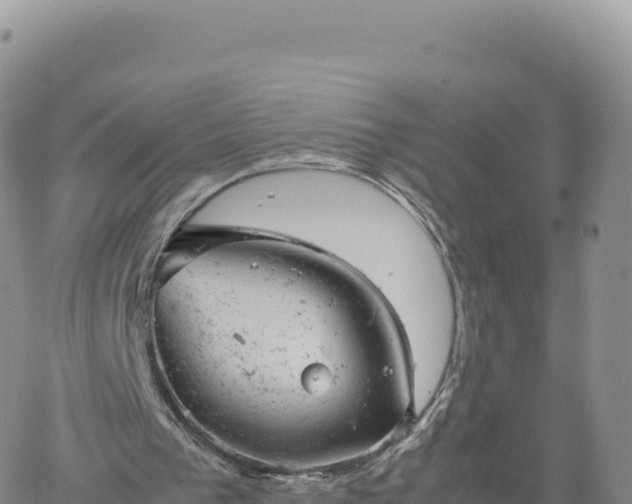 X0000061760193200512091710