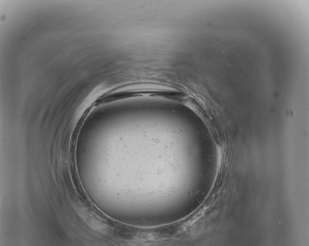 X0000061760195200512091710