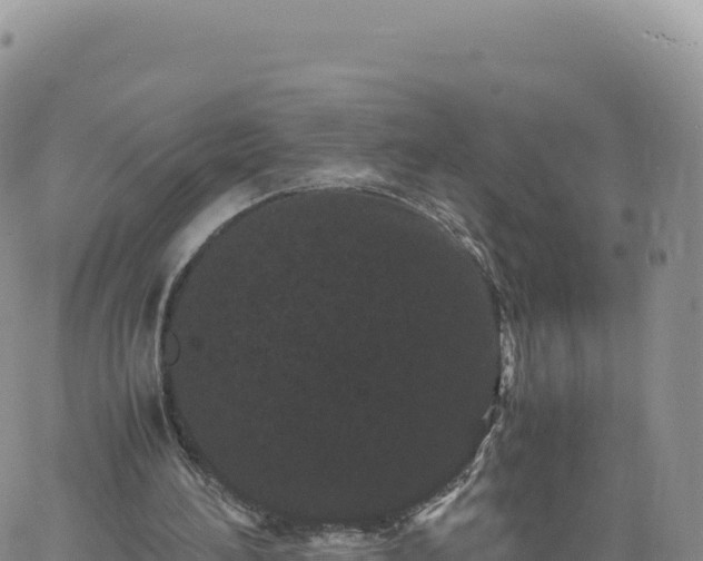 X0000061760196200512091710