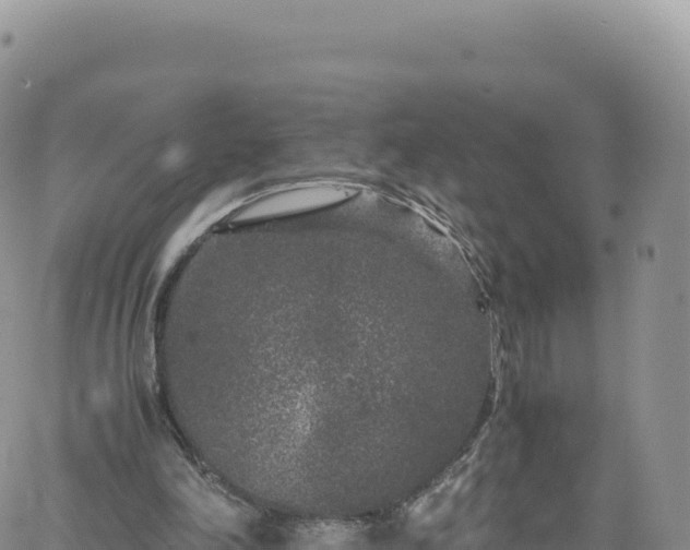 X0000061760198200512091710