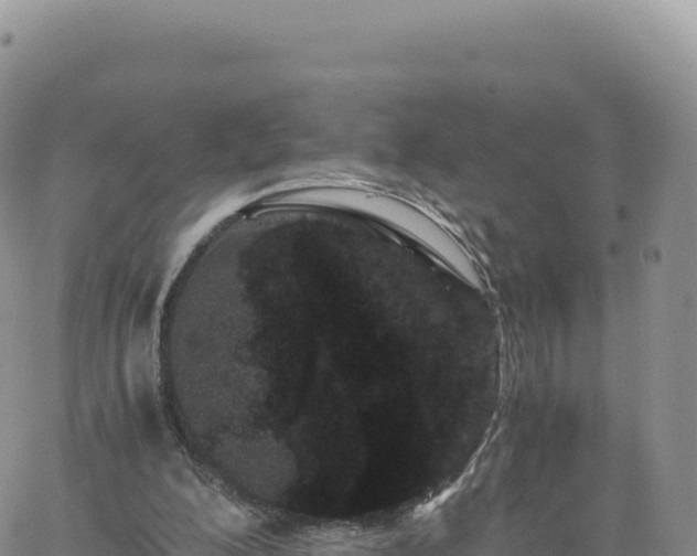 X0000061760200200512091710