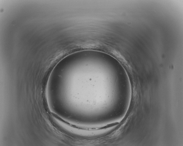 X0000061760201200512091710