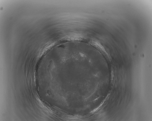 X0000061760202200512091710