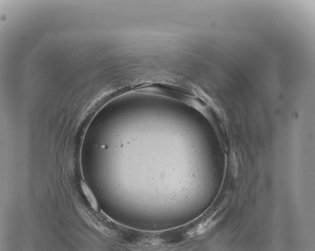 X0000061760203200512091710