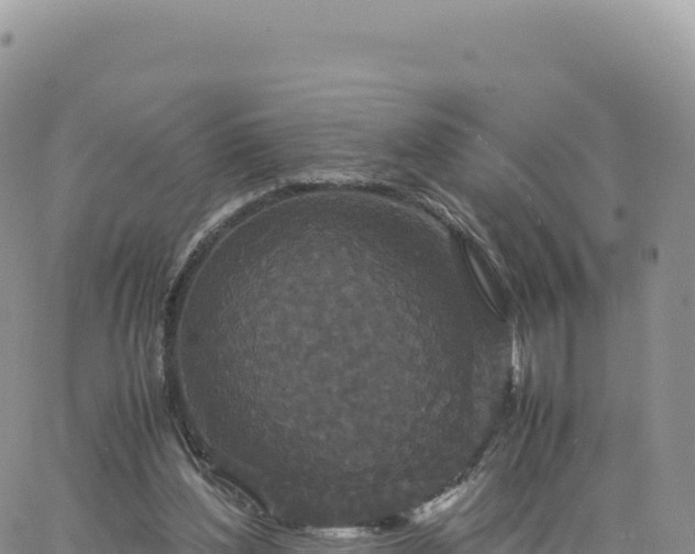 X0000061760204200512091710