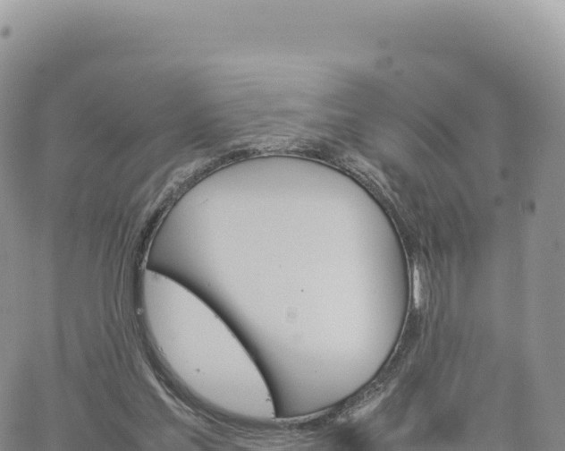 X0000061760205200512091709