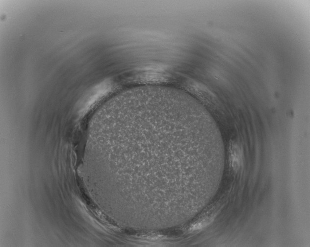 X0000061760206200512091709