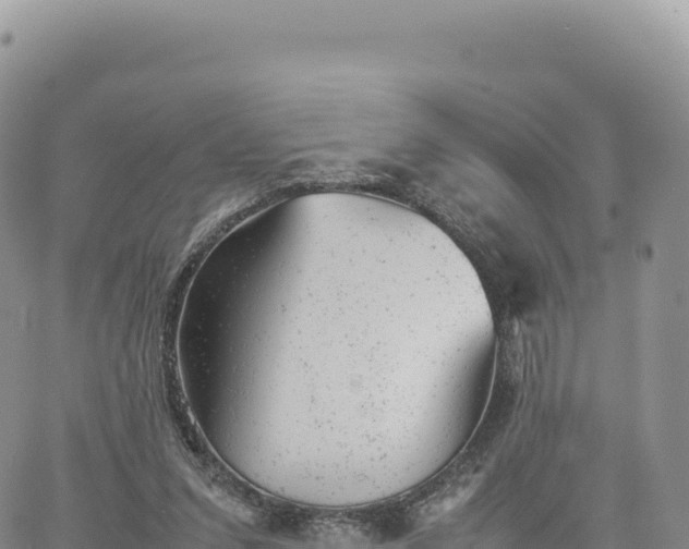 X0000061760207200512091709