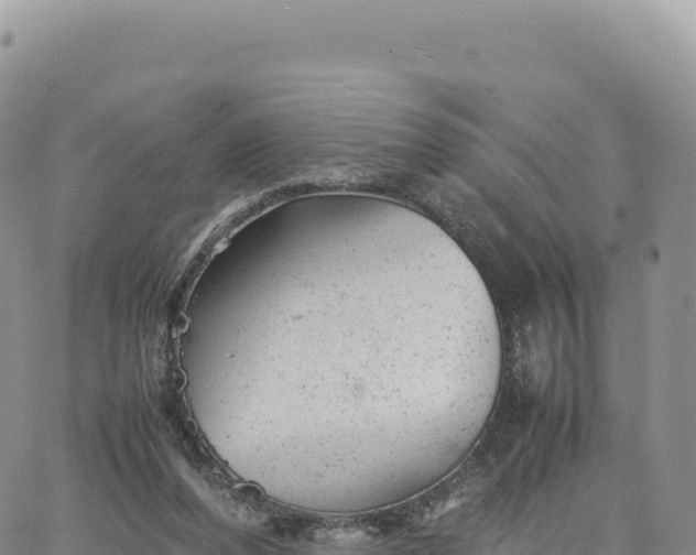 X0000061760208200512091709