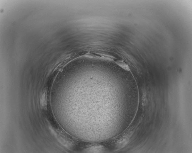 X0000061760210200512091709