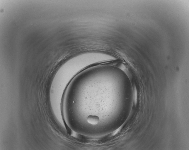 X0000061760211200512091709