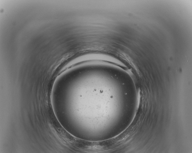 X0000061760212200512091709