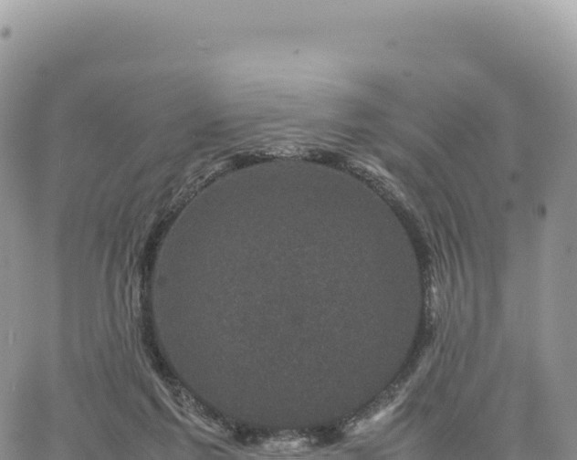 X0000061760213200512091709