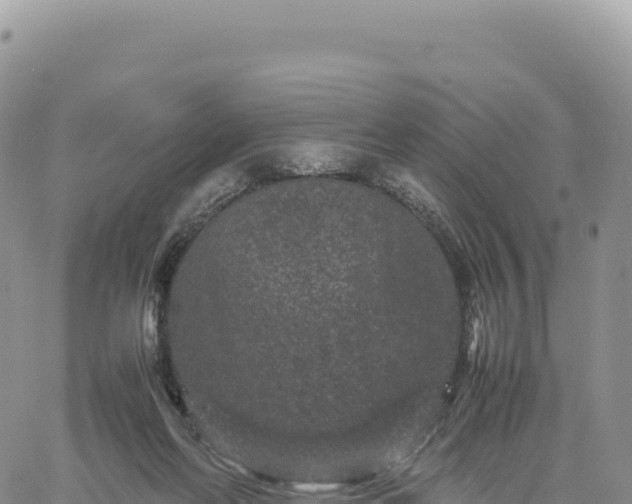 X0000061760214200512091709