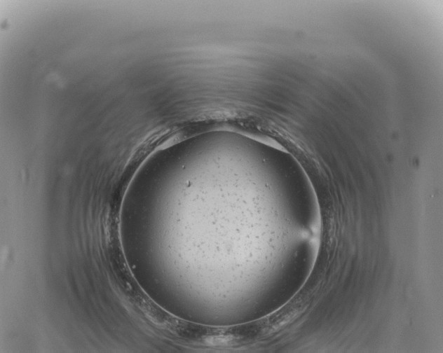 X0000061760216200512091709