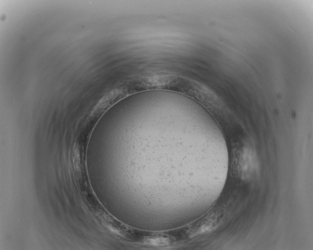 X0000061760220200512091709