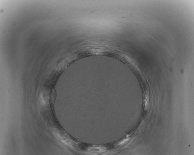 X0000061760221200512091709