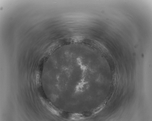 X0000061760222200512091709