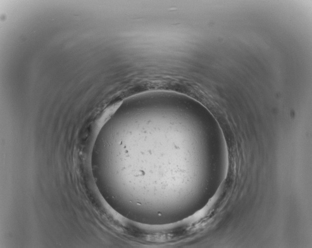 X0000061760225200512091709