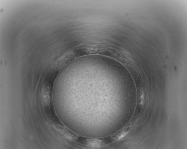 X0000061760226200512091709