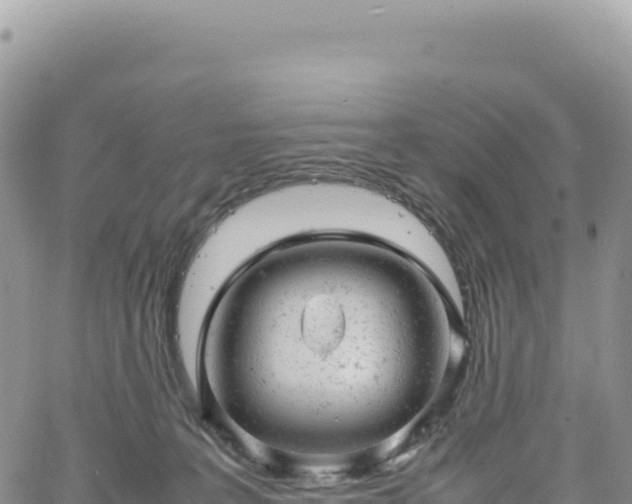 X0000061760227200512091709