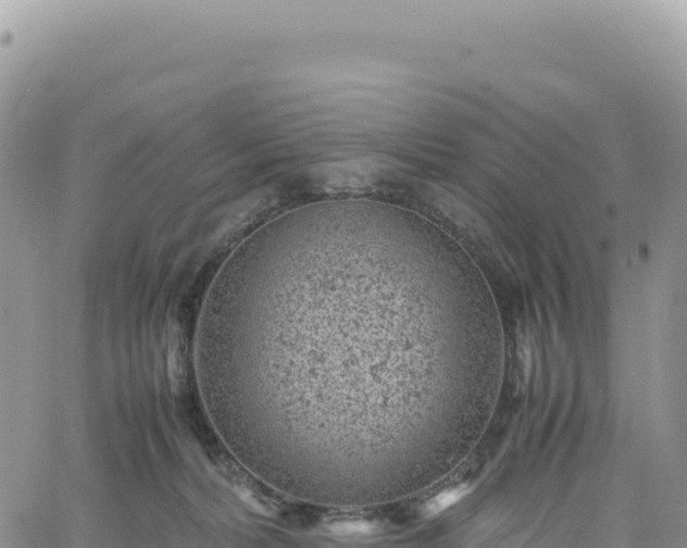 X0000061760228200512091709