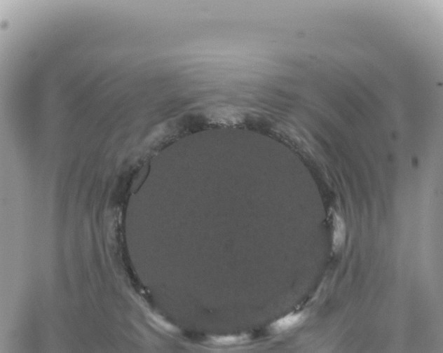 X0000061760229200512091709