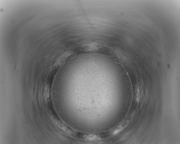 X0000061760230200512091709