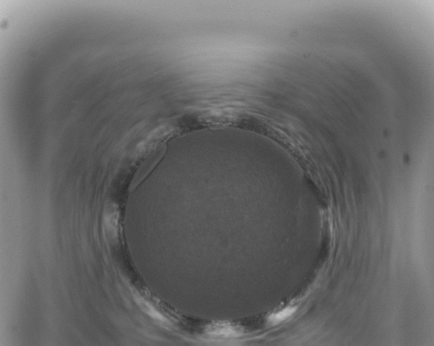 X0000061760231200512091709