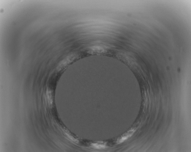 X0000061760232200512091709