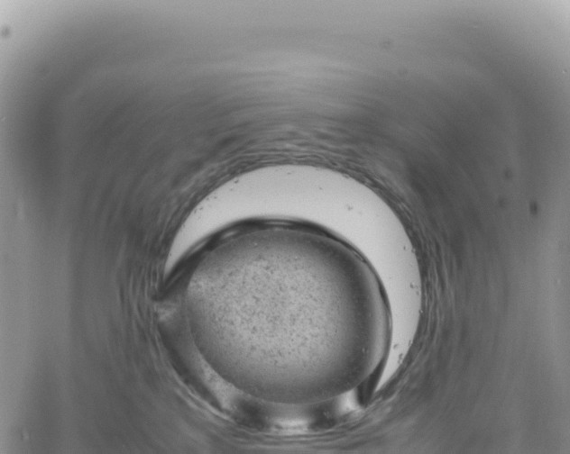 X0000061760233200512091709