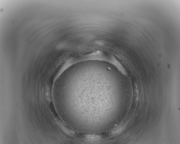 X0000061760234200512091709