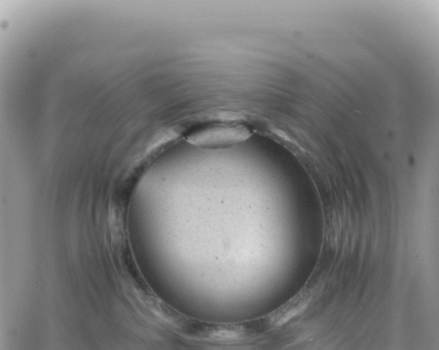 X0000061760236200512091709