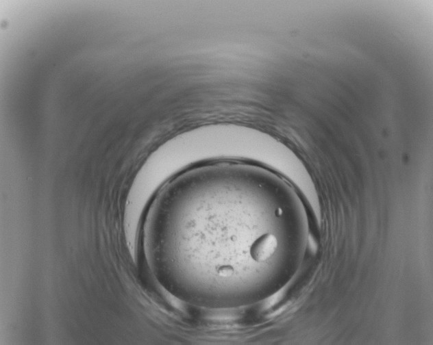 X0000061760237200512091709