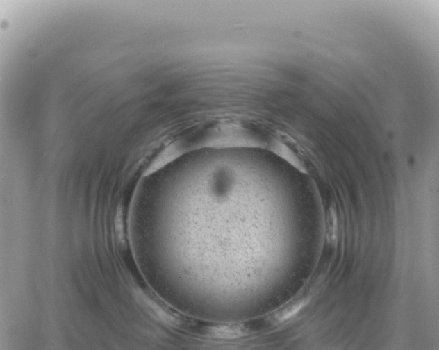 X0000061760238200512091709