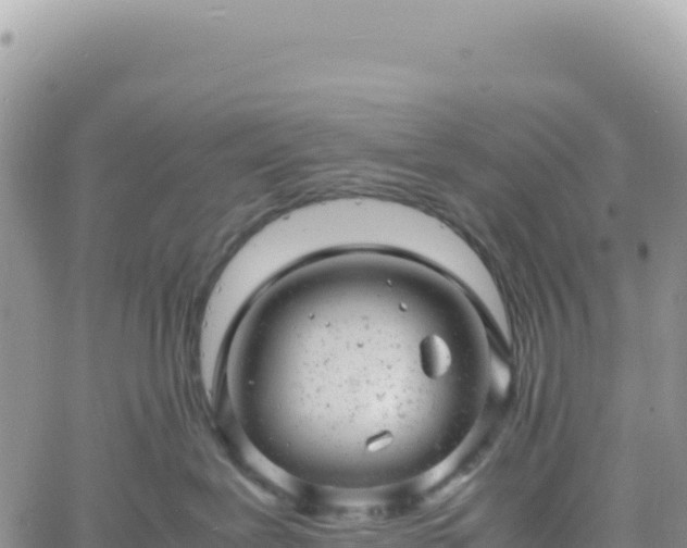 X0000061760239200512091709