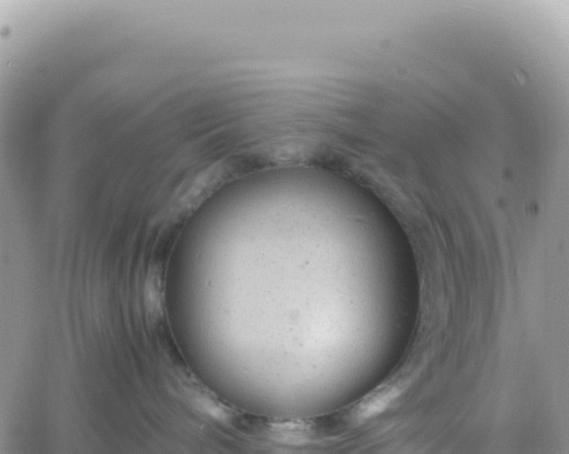 X0000061760240200512091709