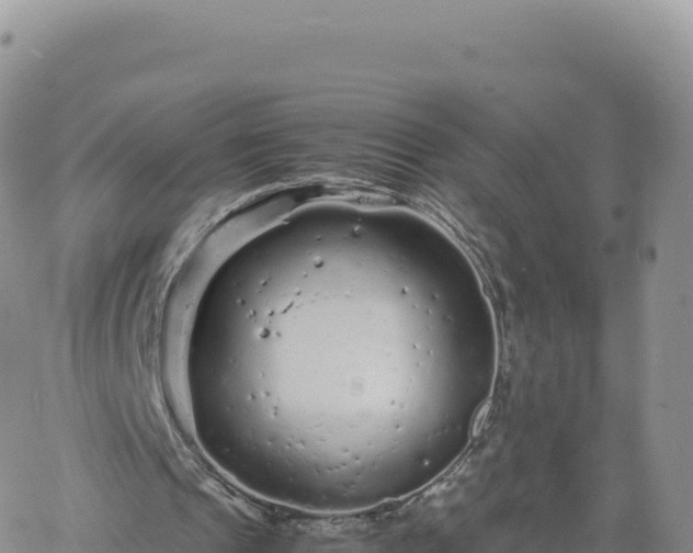 X0000061760241200512091708