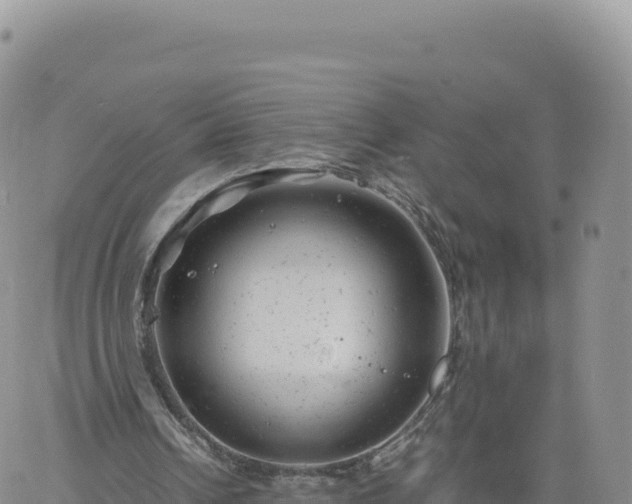 X0000061760242200512091708